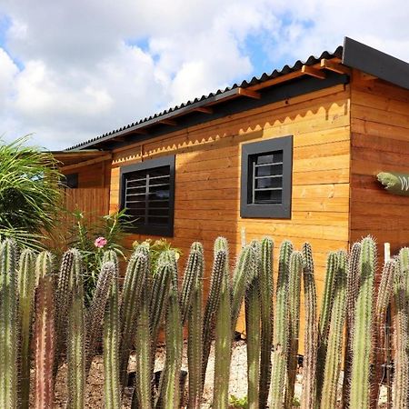 Apartamento Woodz Bonaire Playa Exterior foto